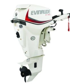 2018 Evinrude E-TEC 30 HP E30DTSL Outboard Motor